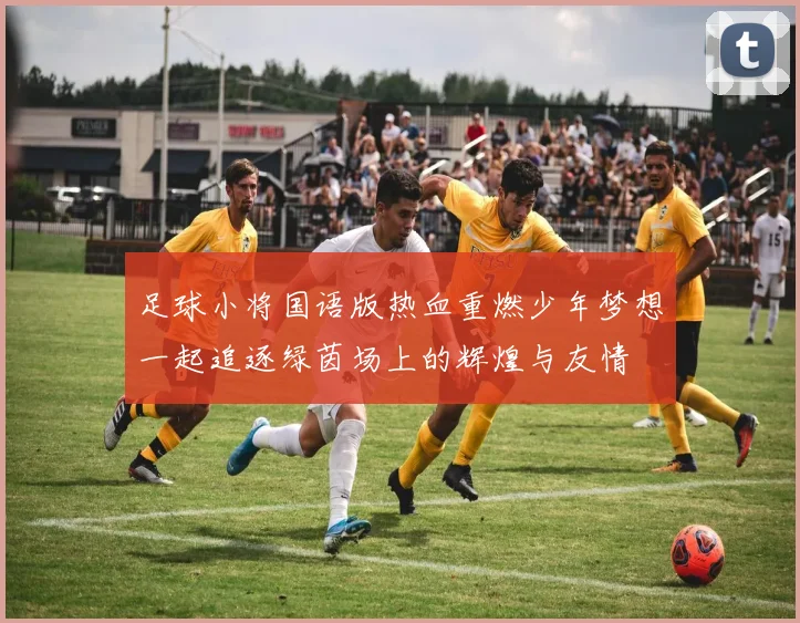 足球小将国语版热血重燃少年梦想一起追逐绿茵场上的辉煌与友情