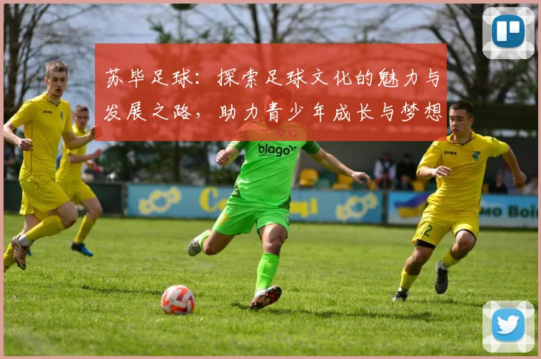 苏毕足球：探索足球文化的魅力与发展之路，助力青少年成长与梦想实现