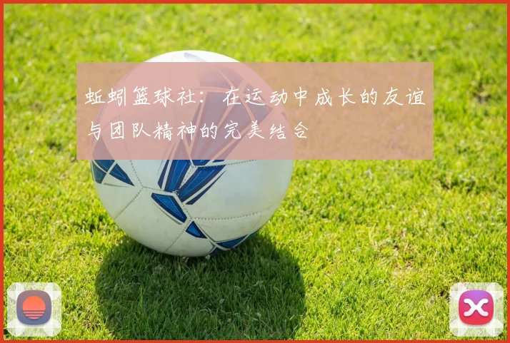 蚯蚓篮球社：在运动中成长的友谊与团队精神的完美结合