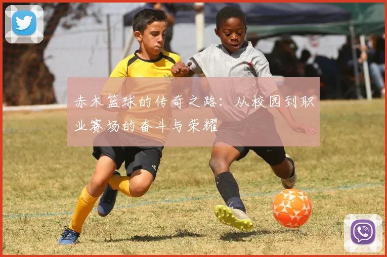 赤木篮球的传奇之路：从校园到职业赛场的奋斗与荣耀